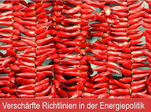 energiepolitik (500 × 371 px)